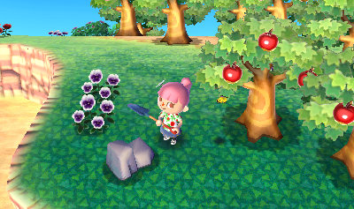 Animal Crossing New Leaf Gameplay