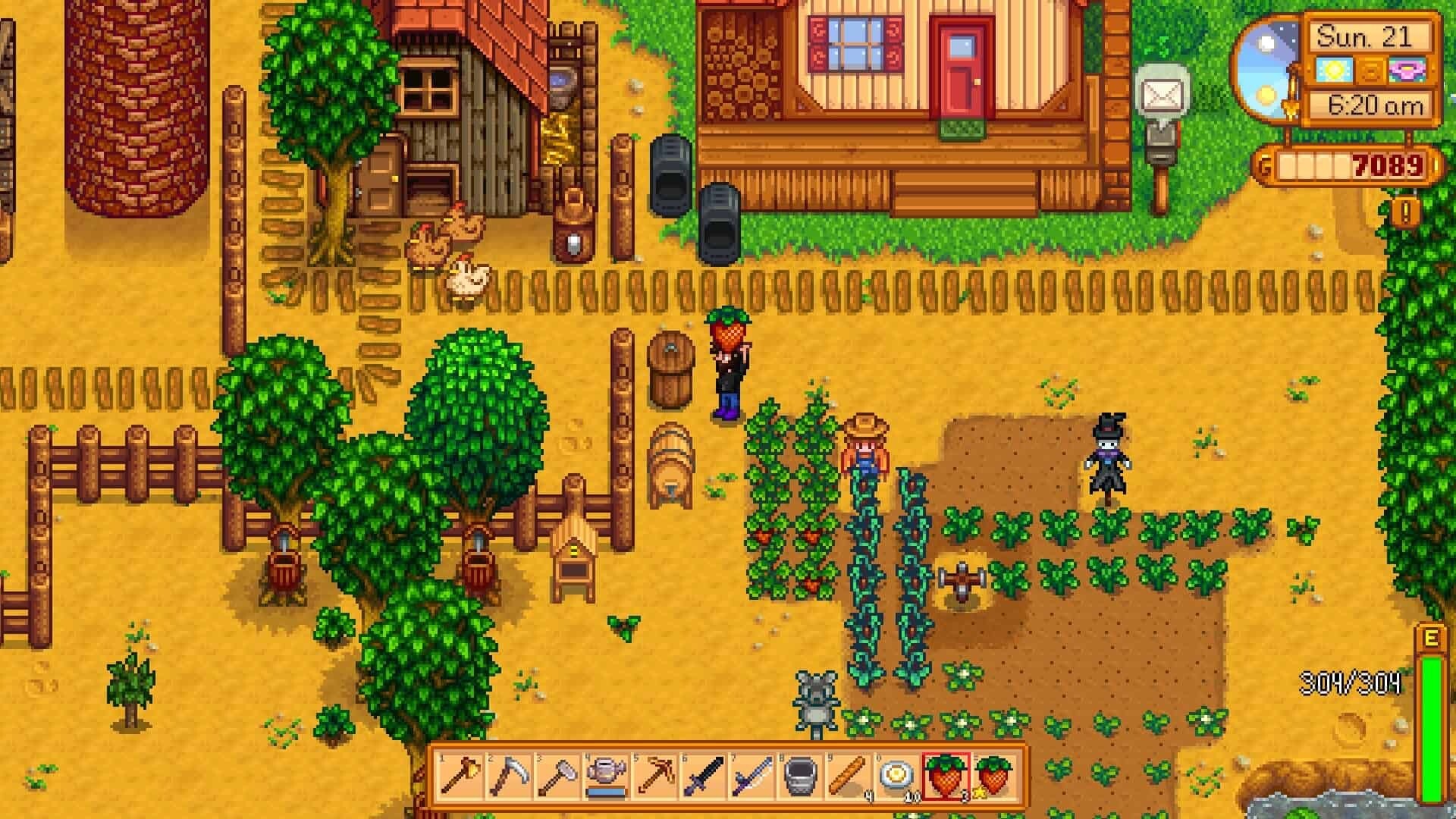 Stardew Valley Gameplay